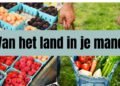 Tas gevuld met verse groenten en fruit direct van de markt, met de tekst “Van het land in je mand”.