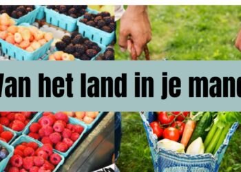 Tas gevuld met verse groenten en fruit direct van de markt, met de tekst “Van het land in je mand”.