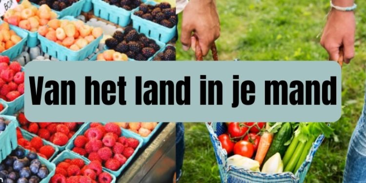 Tas gevuld met verse groenten en fruit direct van de markt, met de tekst “Van het land in je mand”.