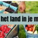 Tas gevuld met verse groenten en fruit direct van de markt, met de tekst “Van het land in je mand”.